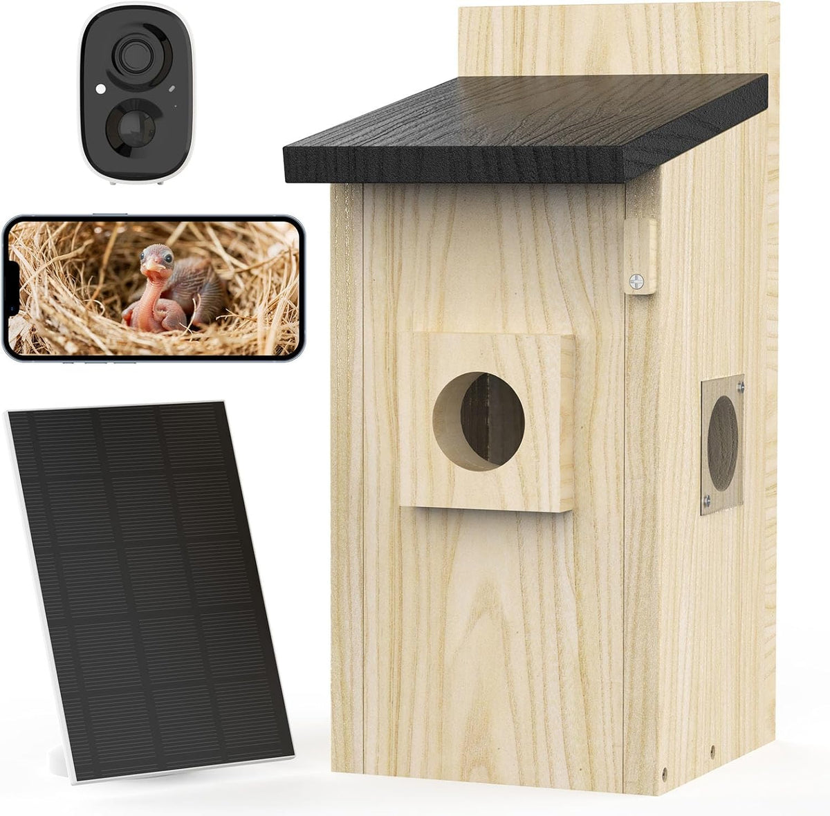 Wooden smart bird box with camera, solar panel and phone showing chicks