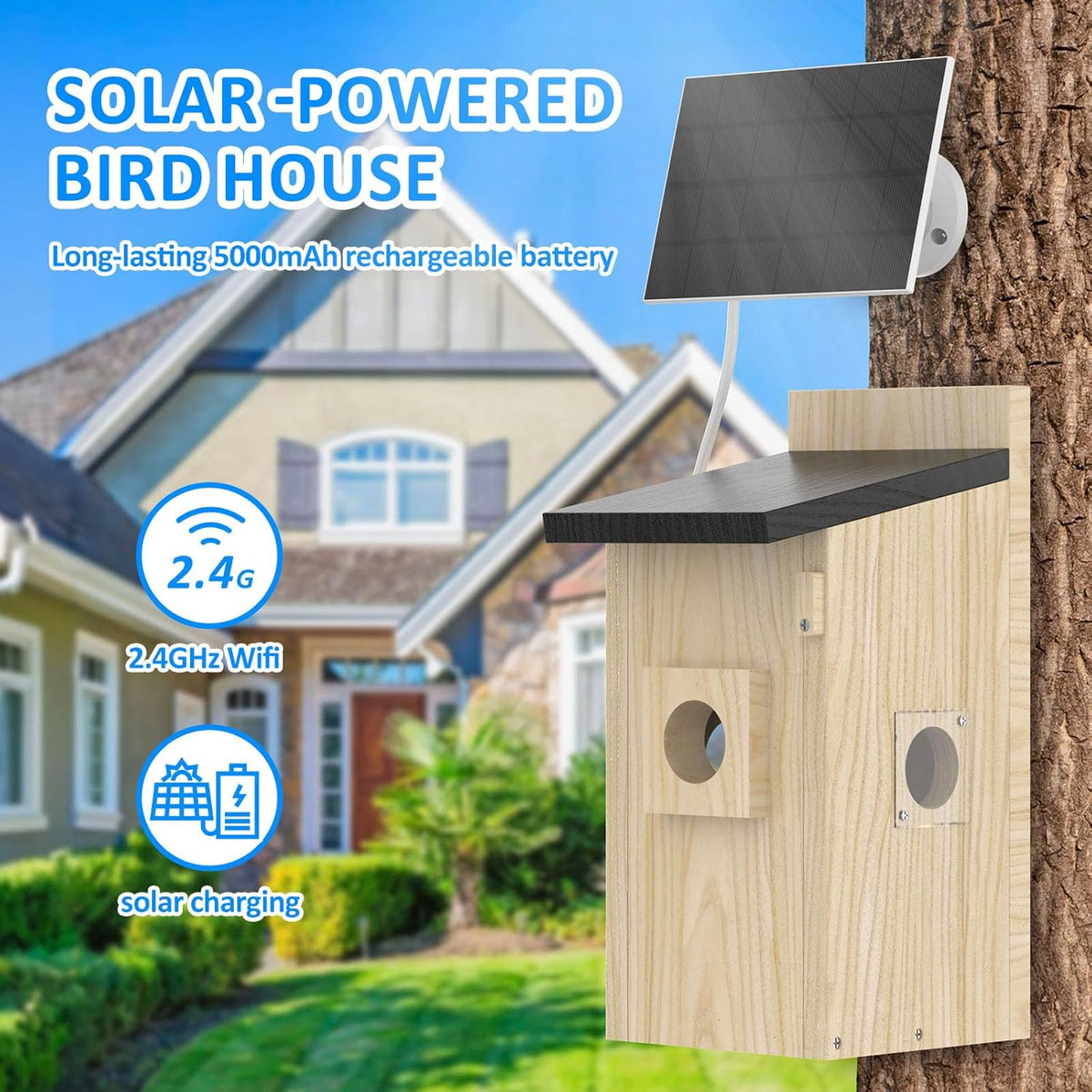Solar-powered smart bird box on a tree, 2.4GHz Wi-Fi