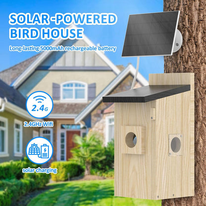 Solar-powered smart bird box on a tree, 2.4GHz Wi-Fi