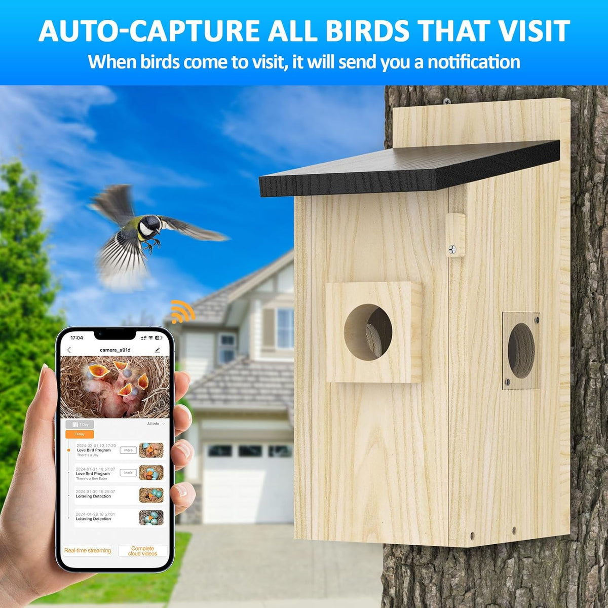 Bird flying to the smart bird box, with app alert on a phone