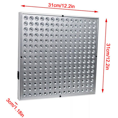 Red light therapy panel size diagram showing 31cm x 31cm x 3cm dimensions